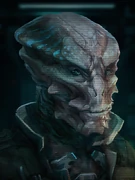 Tareen's icon/avatar