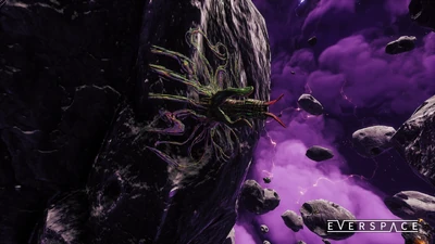 Lifeform-LightningOrchid2