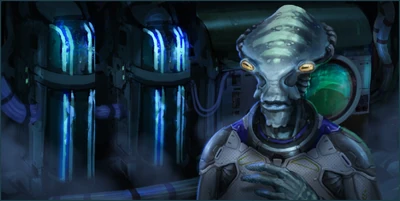 Everspace-Codex-MesterThrong