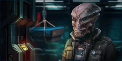 Everspace-Codex-Tareen