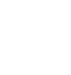 ES2-Icon-ShivaSystems