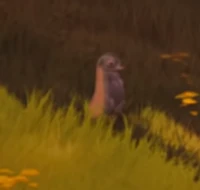 Small mammal 1.png (158 KB) A small mammal sits up