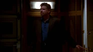 Andrew Brown | Everwood Wiki | Fandom