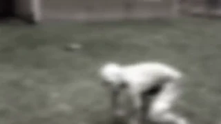The Rake about to attack Vinny.