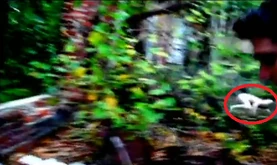 The Rake from "Cops Checked, No Body"