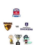 Hawthorn VS Fremantle GF 2013