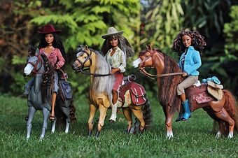 Horse Riding Assortment 2.0 Everything Barbie Wiki Fandom