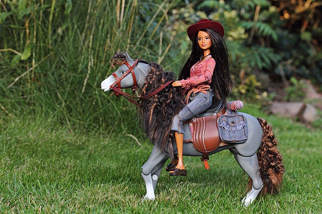 Horse Riding Assortment 2.0 | Everything Barbie Wiki | Fandom