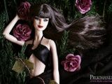 Model No. 01 -Collection 001.5