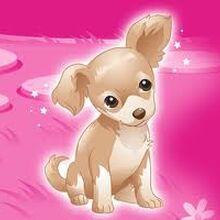 Lacey Dog Everything Barbie Wiki Fandom