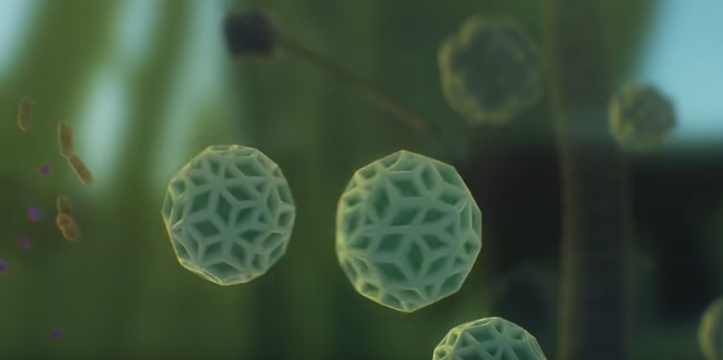 Microscopic.png
