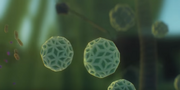 Microscopic.png