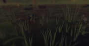 Minituare.png