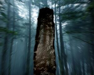 Monolithic Black Stone.jpg (28 KB) The monolithic Black Stone.