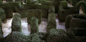 The Hedge Maze