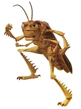 Hopper transparent