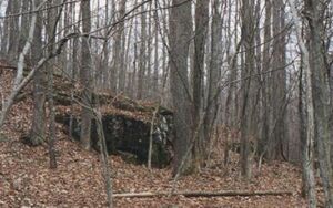 The Coffin Hill