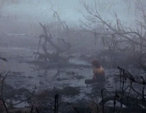 The Swamp of Sadness