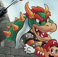 Bowser Północnoamerykańska adaptacja opracowana przez The Software Toolworks.