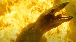 Zaawansowana wytrzymałość