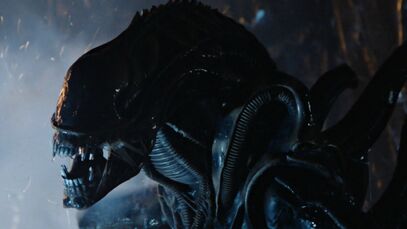 Ksenomorf.jpg