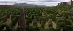 The Hedge Maze