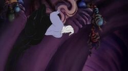 Ursula's Cupboard.jpg