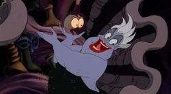 Potions in Ursula's Cupboard.jpg