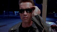Terminator-2-arnold-schwarzenegger