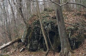 The Coffin Hill
