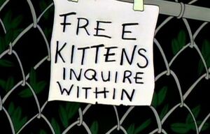 A taped paper on the chain-link fence at the Burns Manor reads "Free Kittens Inquire Within".