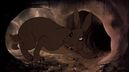 Watership-down-9497.jpg (176 KB)