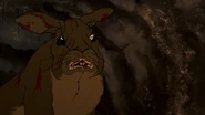 Watership-down-9963.jpg (161 KB)