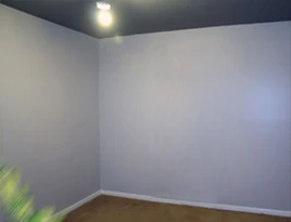 4672099774 43981e976c