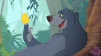 Baloo with a mango in "The Jungle Book 2".