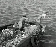 Screenshot 49842.jpg (94 KB)