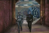 10218-100.jpg (75 KB)