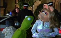 PDVD 009 Detail.jpg (152 KB) Carla starring back at Kermit & Ms. Piggy