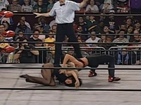 Madusa010.jpg (986 KB)