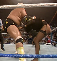 New Fringe 014.jpg (1.11 MB)