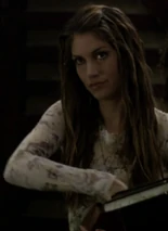 Screenshot 8250.png (750 KB)