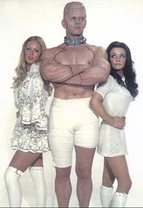 Screenshot 51832.jpg (59 KB)