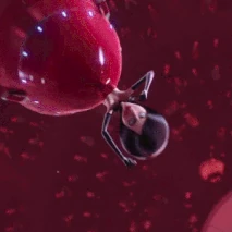 ExcellentHappyEeve-size restricted.gif (1.47 MB)