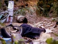 Vlcsnap-2018-11-17-05h51m48s141.png (421 KB)