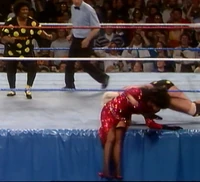 New RG 006.jpg (1.12 MB)