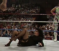 New Fringe 019.jpg (836 KB)