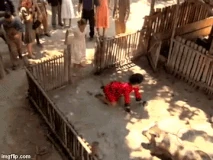 27jxnv.gif (3.56 MB)