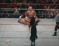 Boston03.gif (8.06 MB)