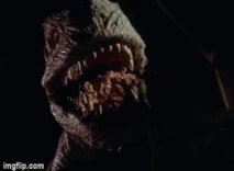 48p36t.gif (2.77 MB)