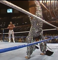 New SS 009.jpg (1.24 MB)